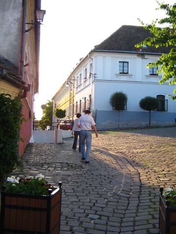 2010.Dunai árvíz 161